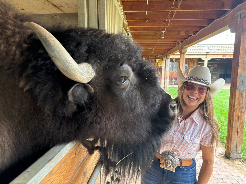 Meet Clyde the buffalo and the animals