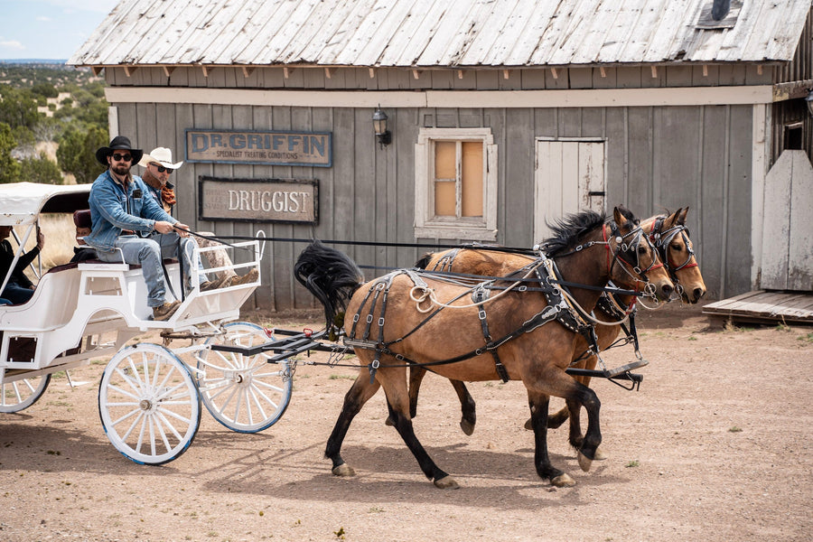Carriage Rides at Mortenson Ranch