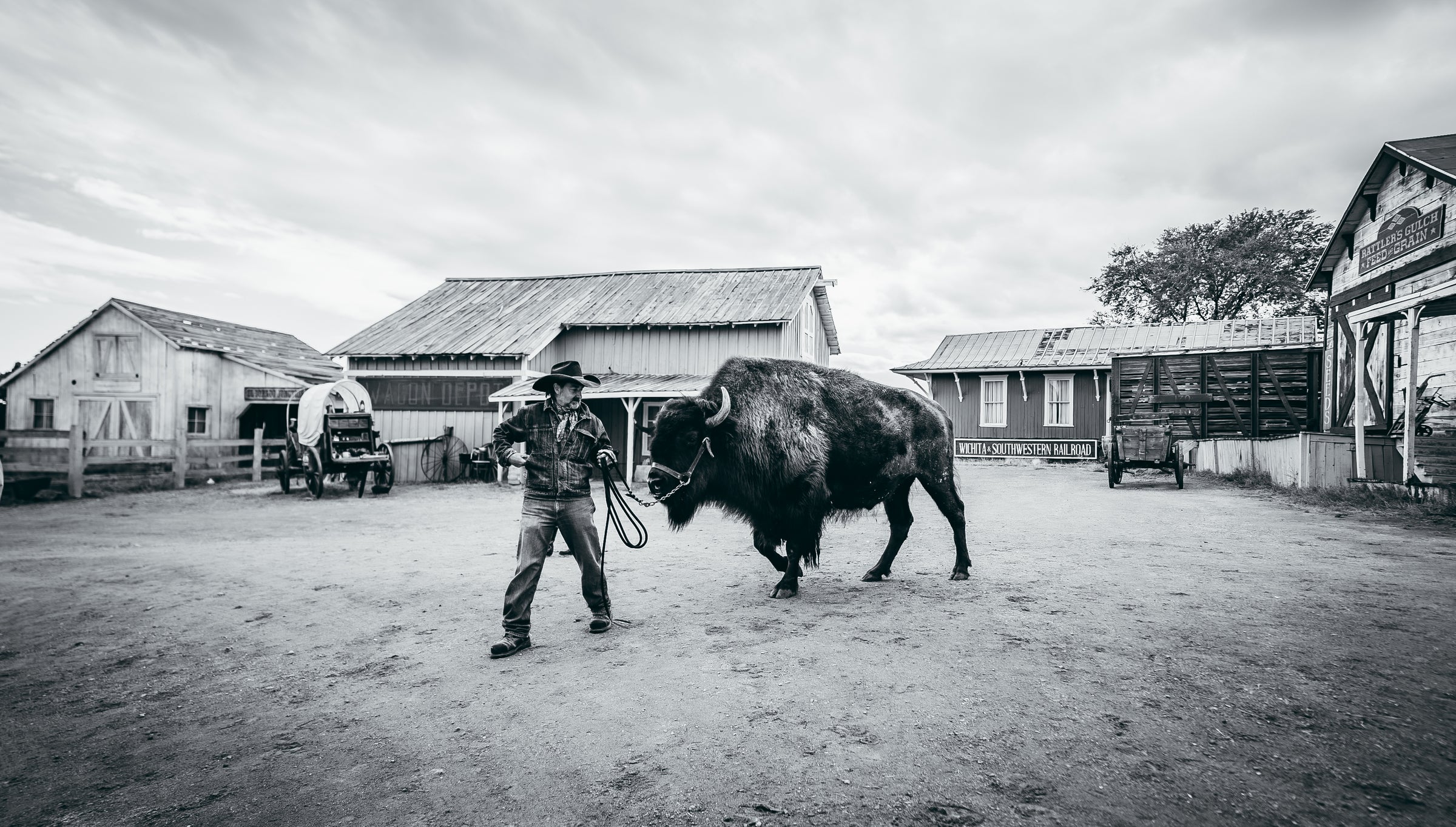 Clyde the Buffalo