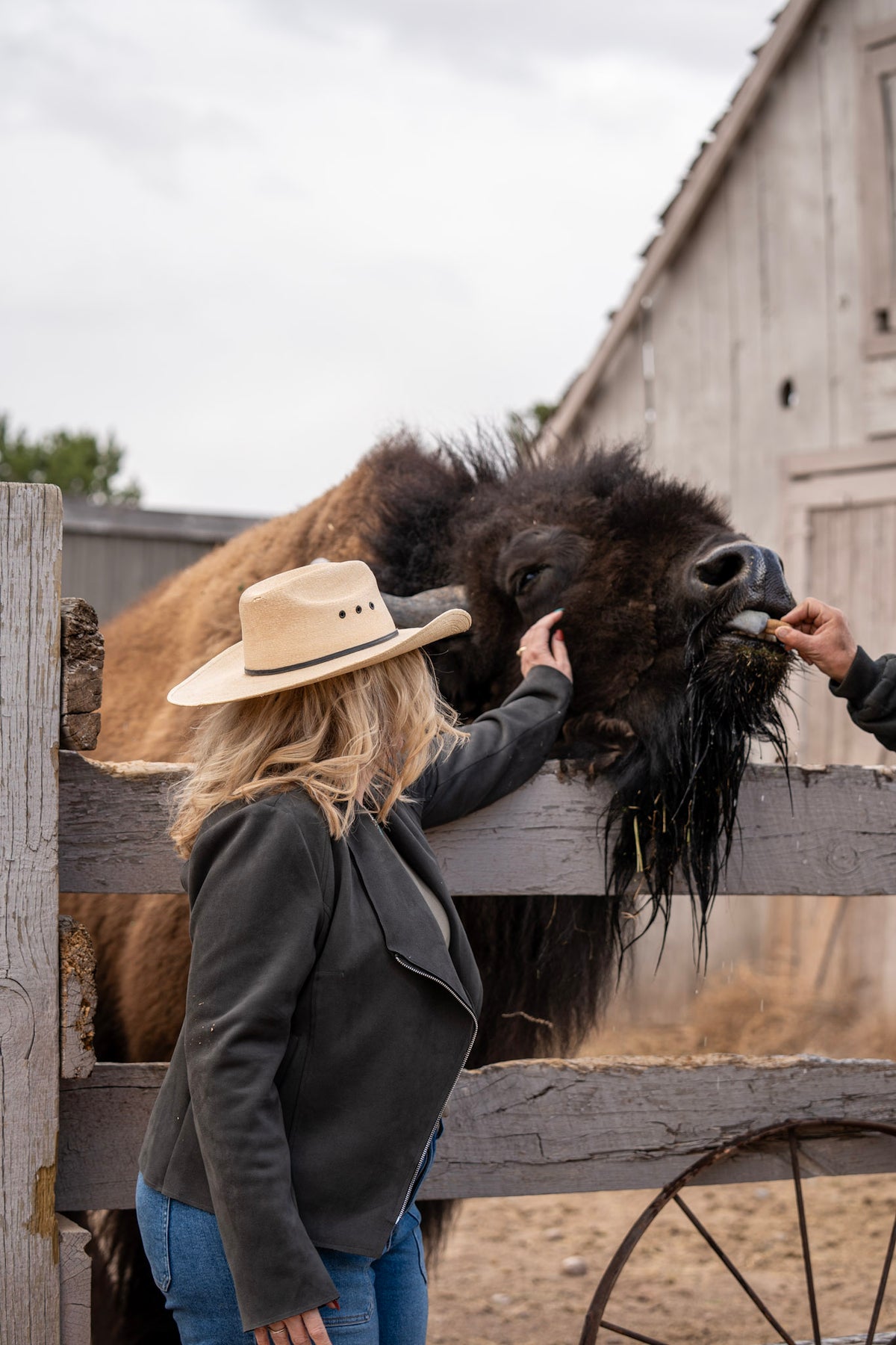 Mortenson Ranch event