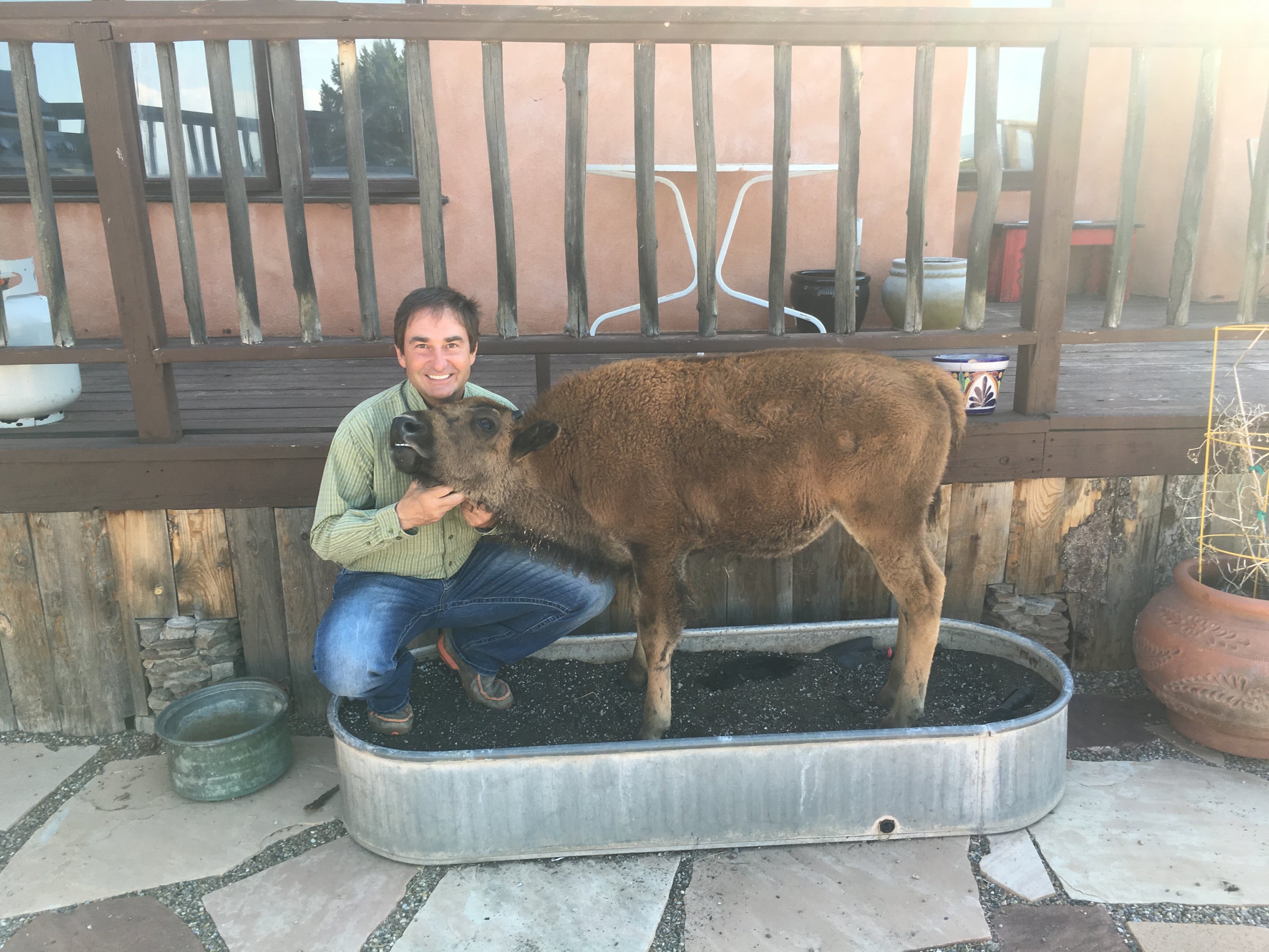 Clyde the Buffalo