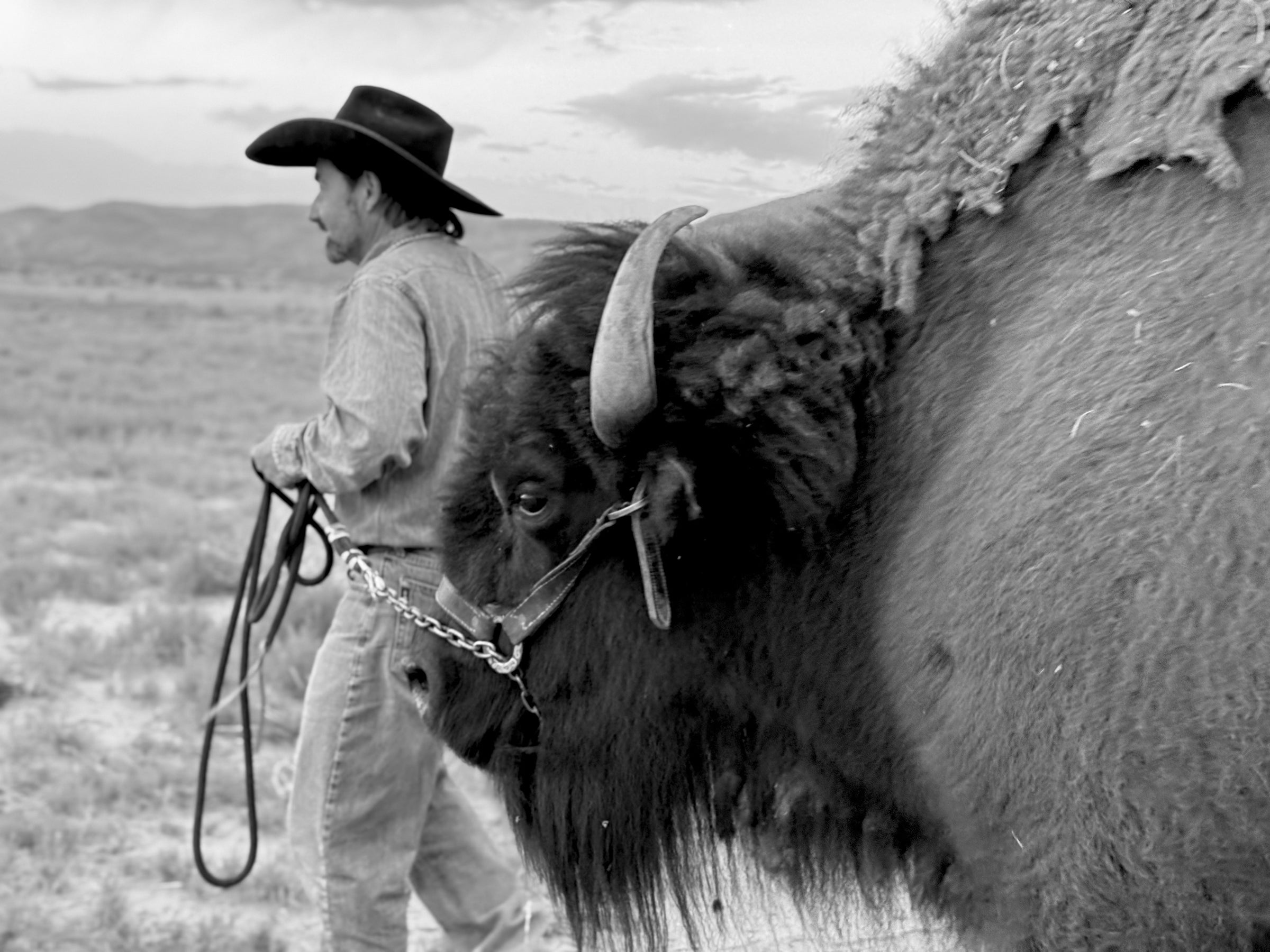 The American West