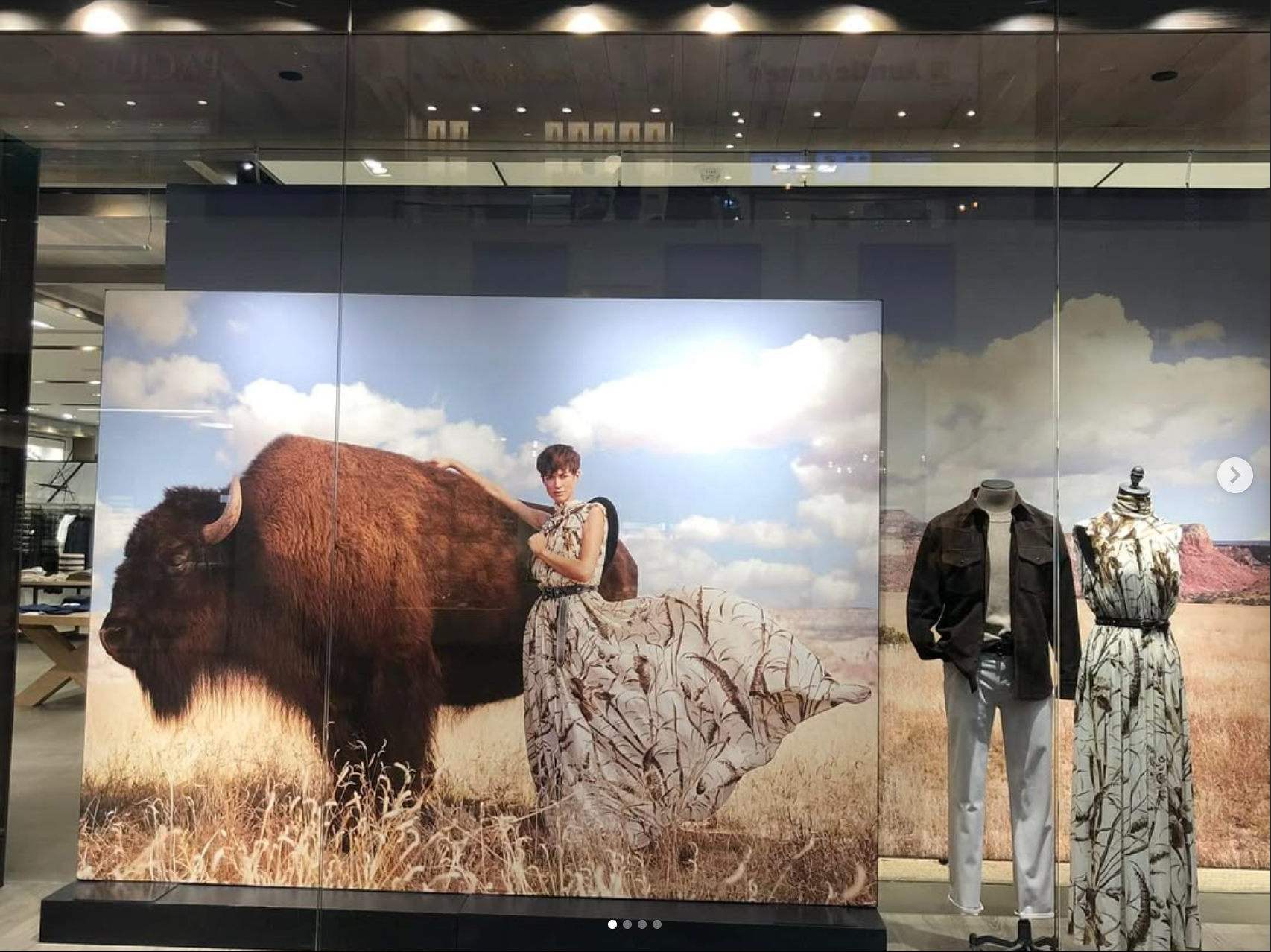 Hey it's Clyde!! Banana Republic Advertisement.