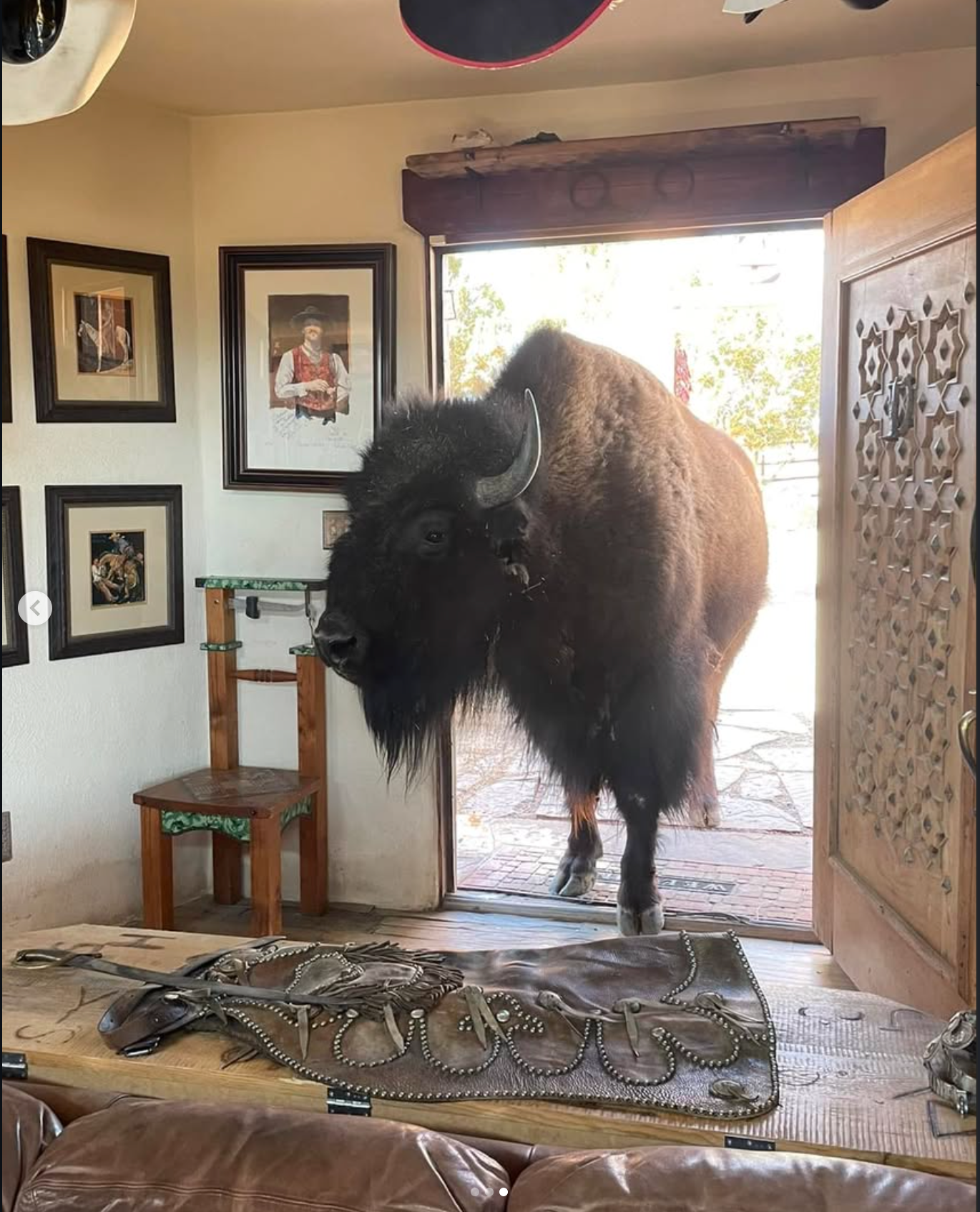 Oh sure just step right in to the house. Clyde strolling around the Ranch.