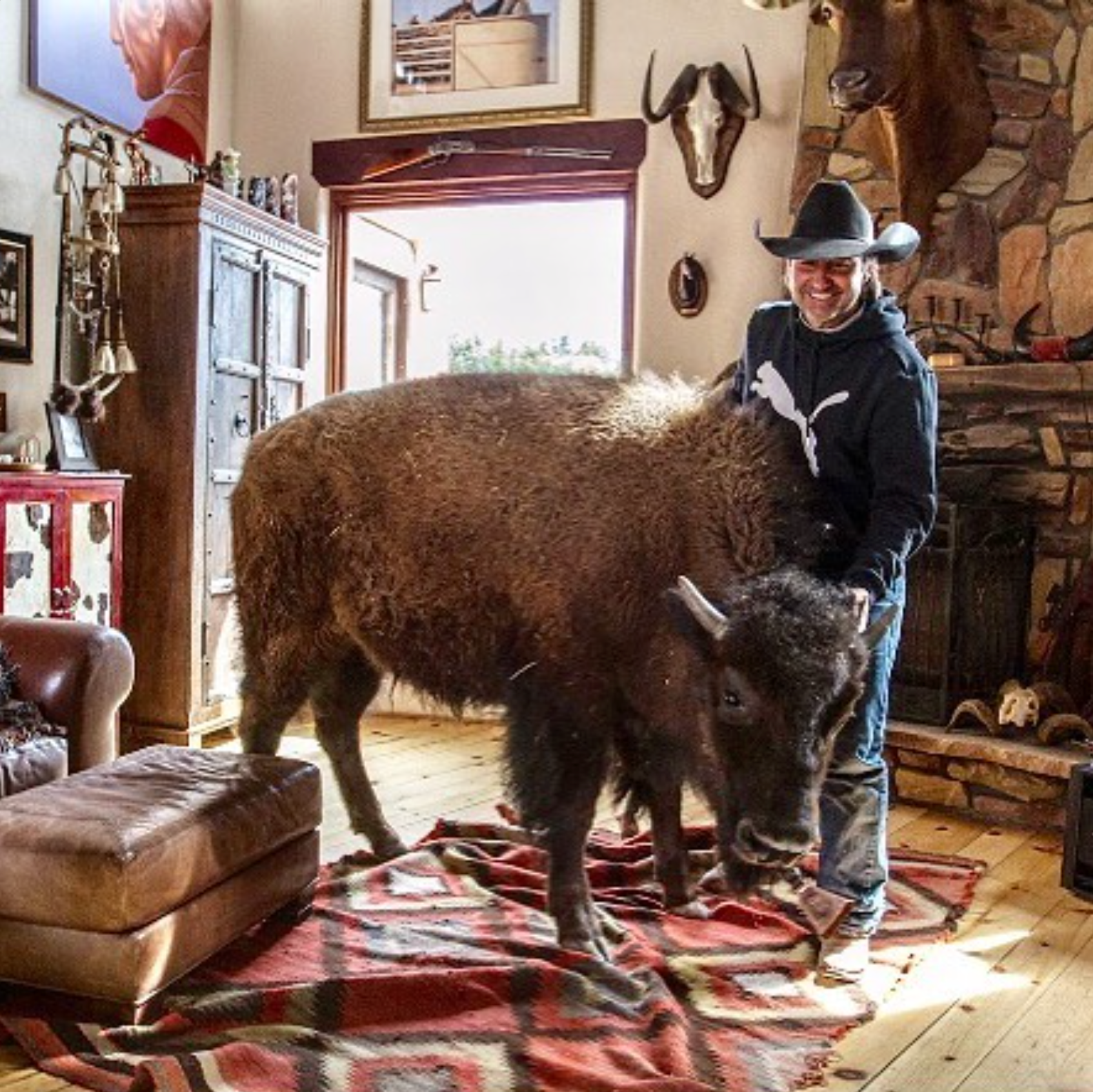 Clyde & Clint hanging out in the living room.