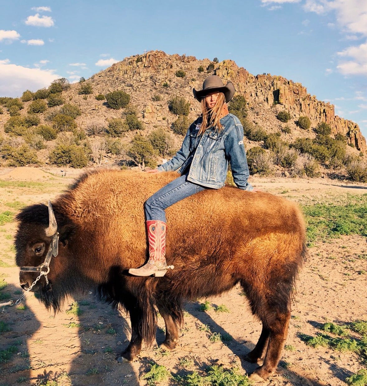 Just a quick ride on Clyde