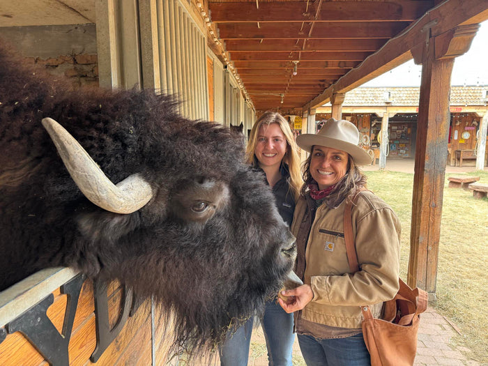 Clyde the Buffalo at Mortenson Ranch